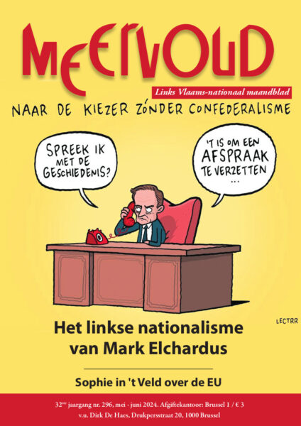 Meervoud 296 cover